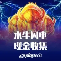 水牛闪电：现金收集™
