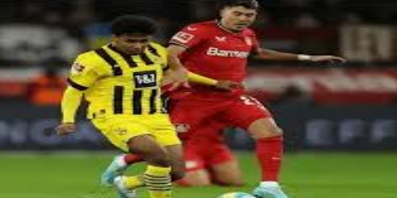 帕杜接管后的第一场硬仗：对阵水晶宫的保级六分战 -博彩平台