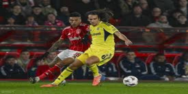 纪录片的家庭故事：克拉夫家族与纪录片的关系 -博彩平台